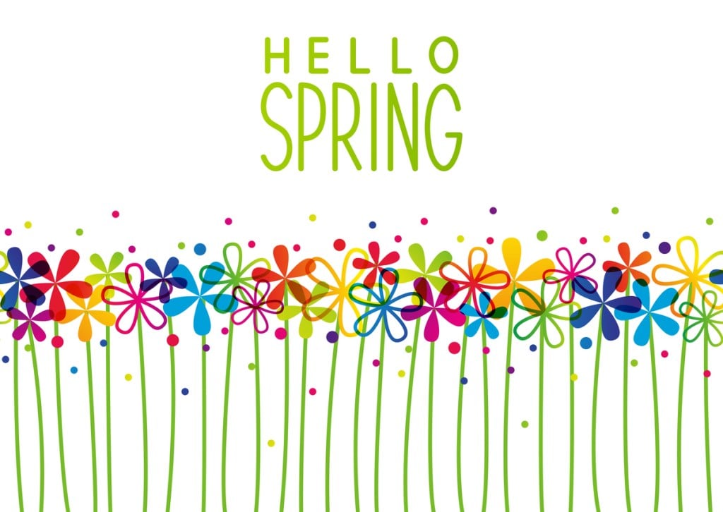 colorful spring flowers - spring cleaning